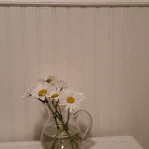 Meet your Posher, Ginger